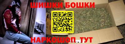сатива Надым