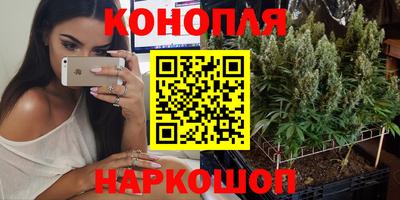 альфа пвп Новоалександровск